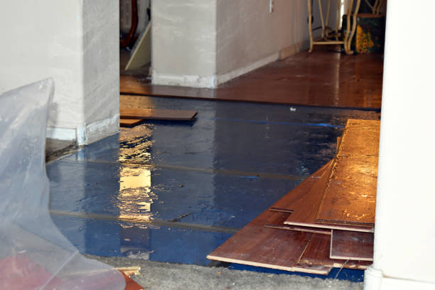 Professional Water Damage Restoration technician working in Coldspring, TX